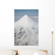 Aerial Glaciated Shishaldin Volcano Wall Decal