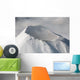 Aerial Summit Shishaldin Volcano Wall Decal