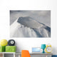 Aerial Summit Shishaldin Volcano Wall Decal