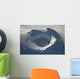 Aerial Frozen Lake Summit Wall Decal