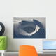 Aerial Frozen Lake Summit Wall Decal