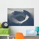 Aerial Frozen Lake Summit Wall Decal