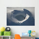 Aerial Frozen Lake Summit Wall Decal