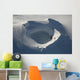 Aerial Frozen Lake Summit Wall Decal