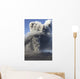 Eruption Ash Cloud from Wall Decal Design 17