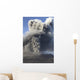 Eruption Ash Cloud from Wall Decal Design 17