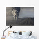 Eruption Ash Cloud from Wall Decal Design 13