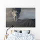 Eruption Ash Cloud from Wall Decal Design 13