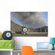 Ash Cloud Passing over Wall Decal