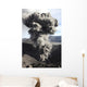 Eruption Ash Cloud from Wall Decal Design 7
