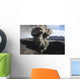Eruption Ash Cloud from Wall Decal Design 6