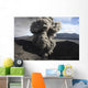 Eruption Ash Cloud from Wall Decal Design 6