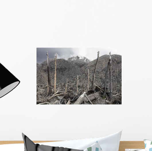 Chile Forest Destroyed Pyroclastic Wall Decal