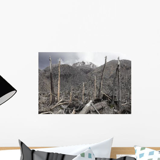 Chile Forest Destroyed Pyroclastic Wall Decal