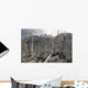 Chile Forest Destroyed Pyroclastic Wall Decal