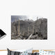 Chile Forest Destroyed Pyroclastic Wall Decal