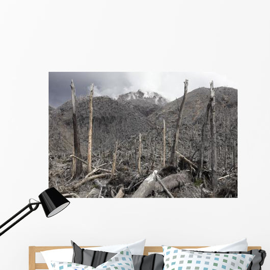 Chile Forest Destroyed Pyroclastic Wall Decal