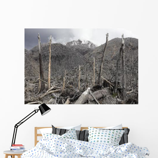 Chile Forest Destroyed Pyroclastic Wall Decal