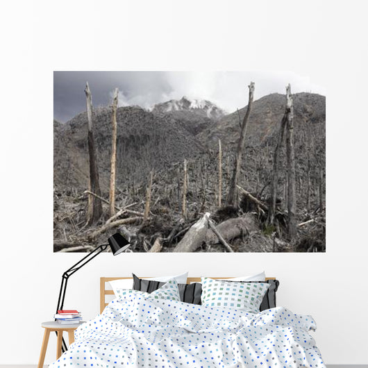 Chile Forest Destroyed Pyroclastic Wall Decal