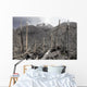 Chile Forest Destroyed Pyroclastic Wall Decal