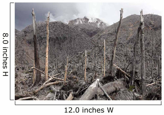 Chile Forest Destroyed Pyroclastic Wall Decal