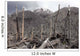 Chile Forest Destroyed Pyroclastic Wall Decal