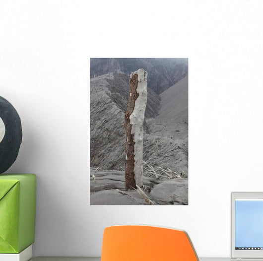 Remains Tree with Bark Wall Decal