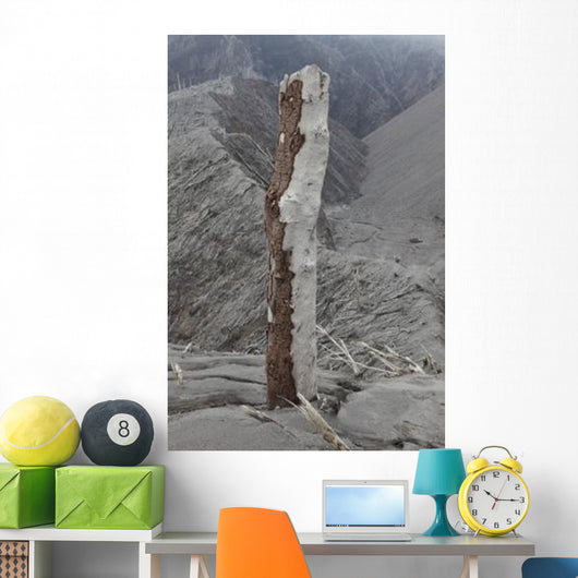 Remains Tree with Bark Wall Decal