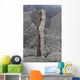 Remains Tree with Bark Wall Decal