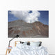 Degassing Lava Dome Sitting Wall Decal