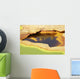 Potassium Salt Deposits Dallol Wall Decal Design 26