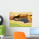 Potassium Salt Deposits Dallol Wall Decal Design 26