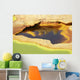 Potassium Salt Deposits Dallol Wall Decal Design 26