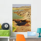 Potassium Salt Deposits Dallol Wall Decal Design 24