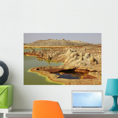 Potassium Salt Deposits Dallol Wall Decal Design 23 shown on a wall
