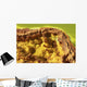Potassium Salt Deposits Dallol Wall Decal Design 22