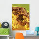 Potassium Salt Deposits Dallol Wall Decal Design 21