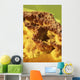Potassium Salt Deposits Dallol Wall Decal Design 21
