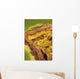Potassium Salt Deposits Dallol Wall Decal Design 20
