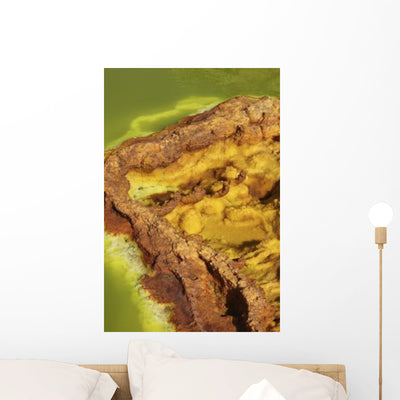 Potassium Salt Deposits Dallol Wall Decal Design 20 shown on a wall