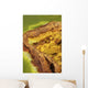 Potassium Salt Deposits Dallol Wall Decal Design 20