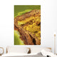 Potassium Salt Deposits Dallol Wall Decal Design 20