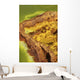Potassium Salt Deposits Dallol Wall Decal Design 20