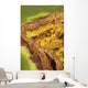 Potassium Salt Deposits Dallol Wall Decal Design 20