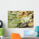 Potassium Salt Deposits Dallol Wall Decal Design 18