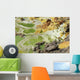 Potassium Salt Deposits Dallol Wall Decal Design 18