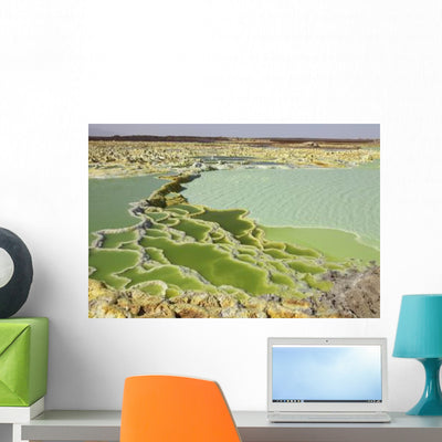 Dallol Geothermal Area Danakil Wall Decal Design 3 shown on a wall