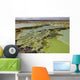 Dallol Geothermal Area Danakil Wall Decal Design 2