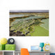 Dallol Geothermal Area Danakil Wall Decal Design 2