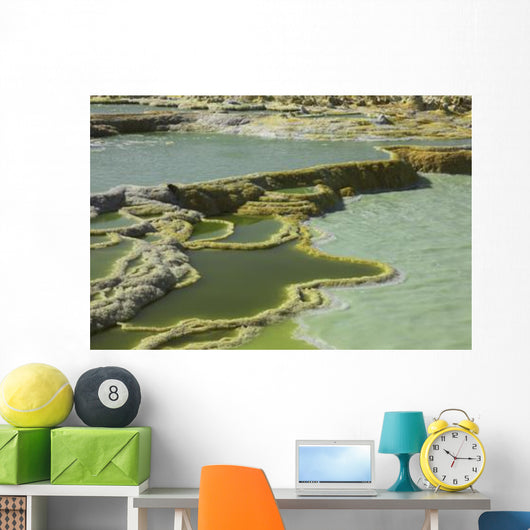 Potassium Salt Deposits Dallol Wall Decal Design 17